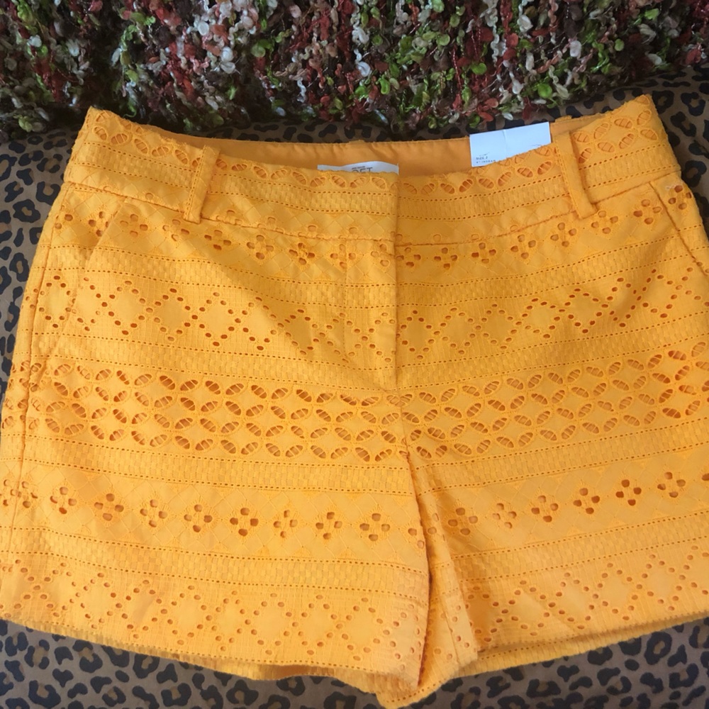 The Riviera Short
